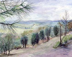 Autumn, Tuscany